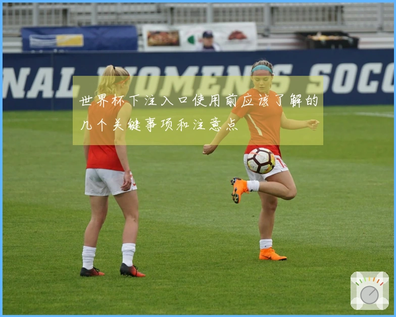 世界杯下注入口使用前应该了解的几个关键事项和注意点