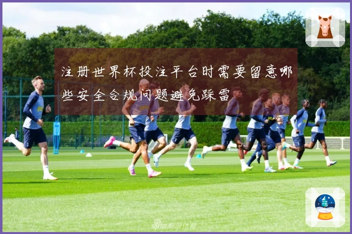 注册世界杯投注平台时需要留意哪些安全合规问题避免踩雷