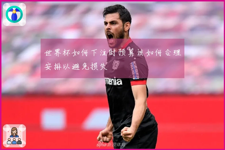 世界杯如何下注时预算该如何合理安排以避免损失