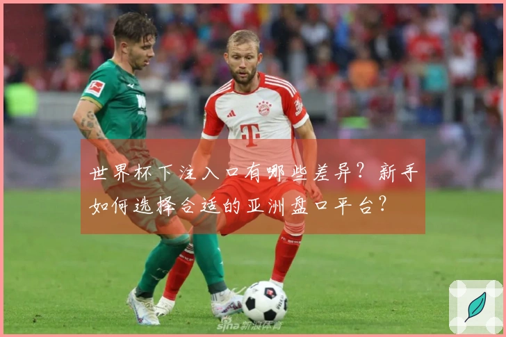 世界杯下注入口有哪些差异？新手如何选择合适的亚洲盘口平台？
