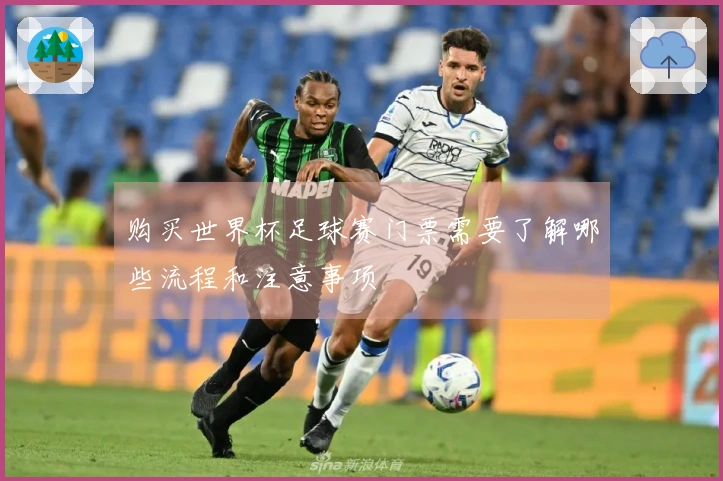 购买世界杯足球赛门票需要了解哪些流程和注意事项