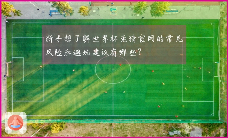 新手想了解世界杯竞猜官网的常见风险和避坑建议有哪些？