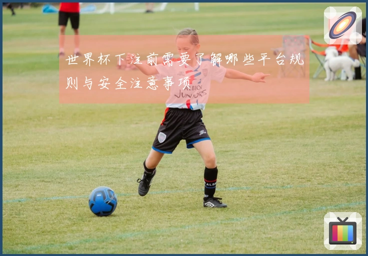 世界杯下注前需要了解哪些平台规则与安全注意事项