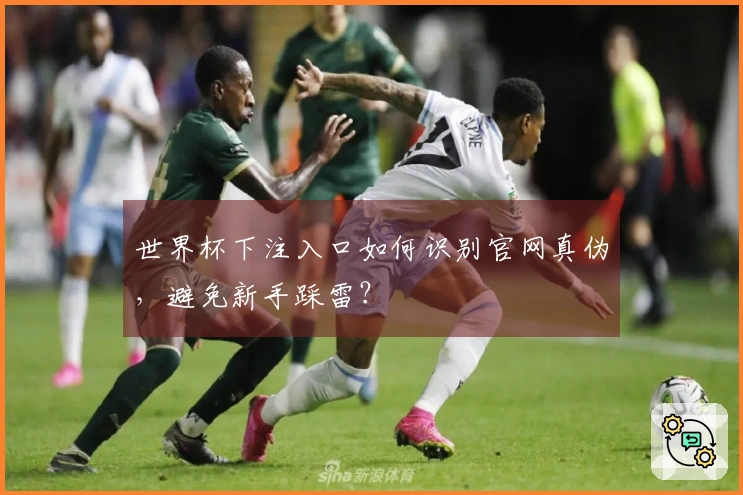 世界杯下注入口如何识别官网真伪，避免新手踩雷？