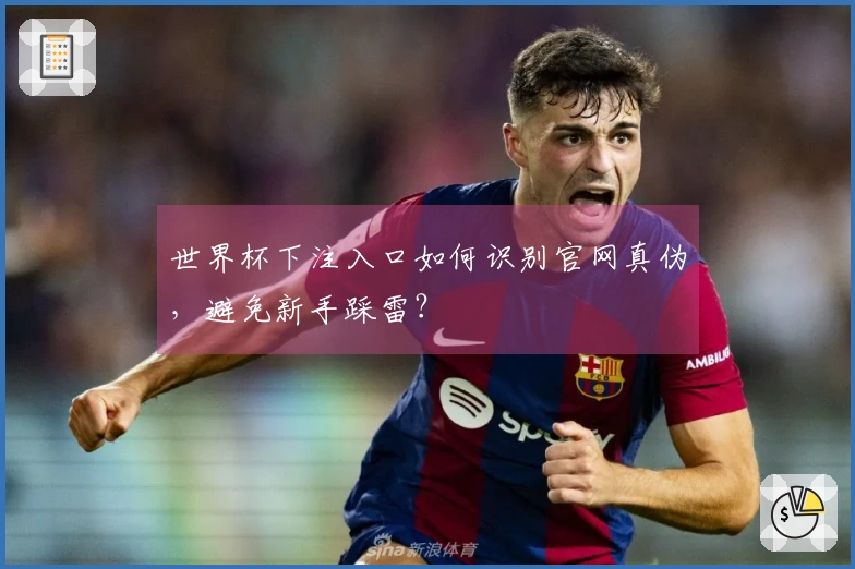 世界杯下注入口如何识别官网真伪，避免新手踩雷？