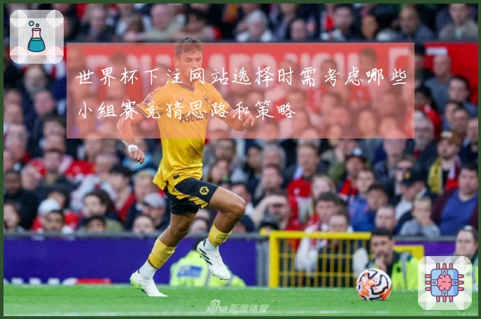 世界杯下注网站选择时需考虑哪些小组赛竞猜思路和策略