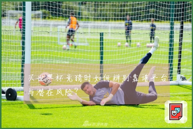 买世界杯竞猜时如何辨别靠谱平台与潜在风险？