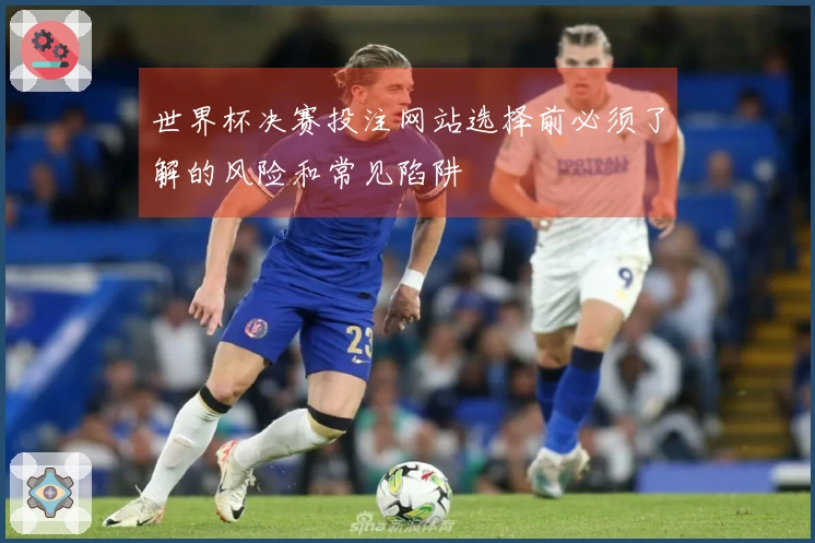 世界杯决赛投注网站选择前必须了解的风险和常见陷阱
