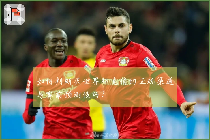 如何判断买世界杯竞猜的正规渠道与赛前预测技巧？