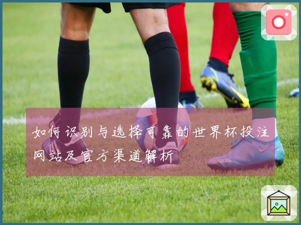如何识别与选择可靠的世界杯投注网站及官方渠道解析