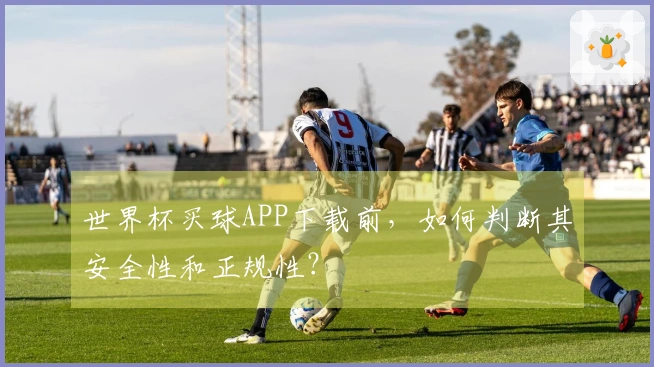 世界杯买球APP下载前，如何判断其安全性和正规性？