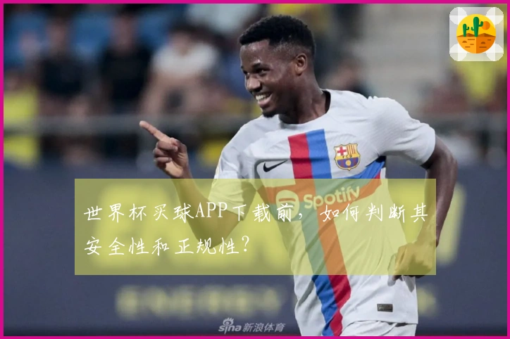 世界杯买球APP下载前，如何判断其安全性和正规性？