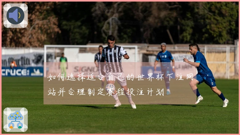 如何选择适合自己的世界杯下注网站并合理制定赛程投注计划
