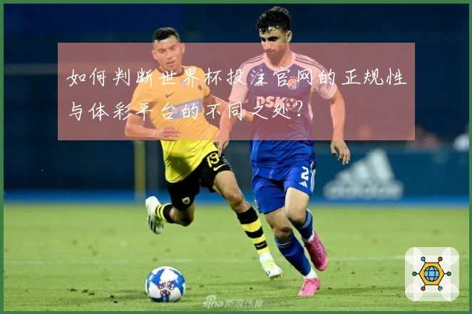 如何判断世界杯投注官网的正规性与体彩平台的不同之处?