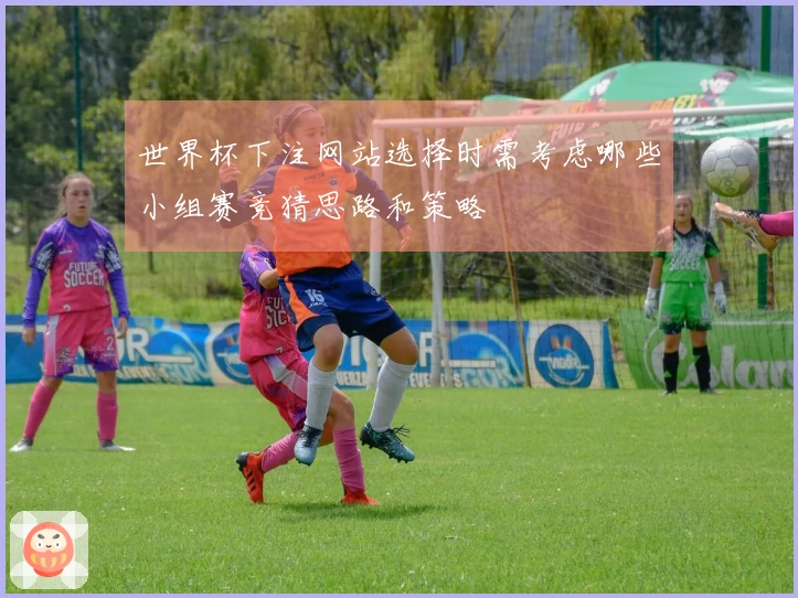 世界杯下注网站选择时需考虑哪些小组赛竞猜思路和策略