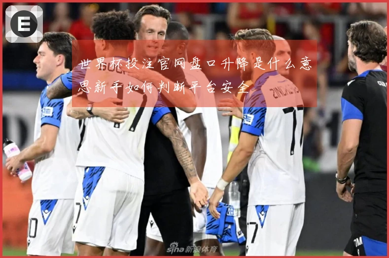 世界杯投注官网盘口升降是什么意思新手如何判断平台安全