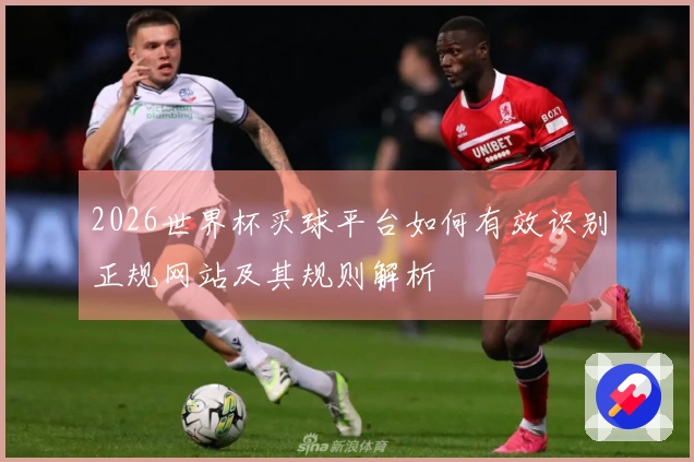 2026世界杯买球平台如何有效识别正规网站及其规则解析