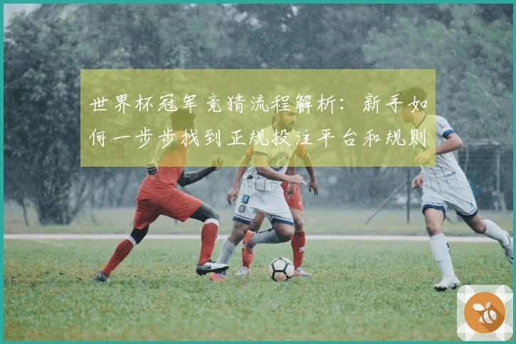 世界杯冠军竞猜流程解析：新手如何一步步找到正规投注平台和规则注意事项