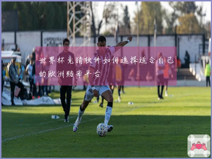 世界杯竞猜软件如何选择适合自己的欧洲赔率平台
