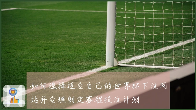如何选择适合自己的世界杯下注网站并合理制定赛程投注计划