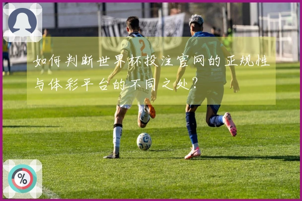 如何判断世界杯投注官网的正规性与体彩平台的不同之处？