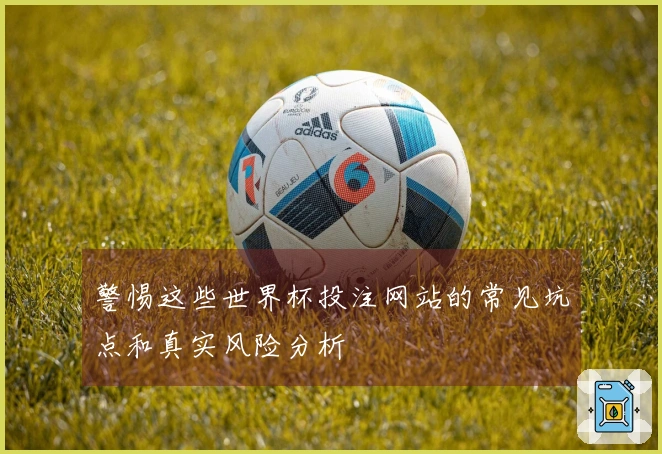 警惕这些世界杯投注网站的常见坑点和真实风险分析