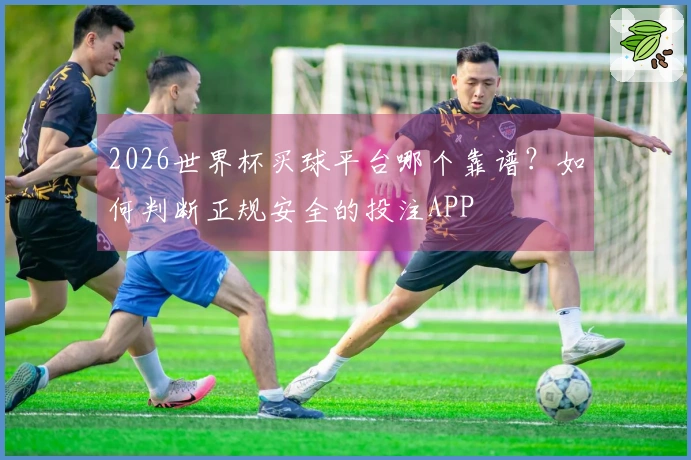 2026世界杯买球平台哪个靠谱？如何判断正规安全的投注APP