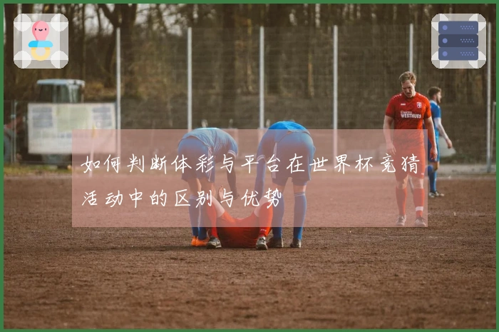 如何判断体彩与平台在世界杯竞猜活动中的区别与优势