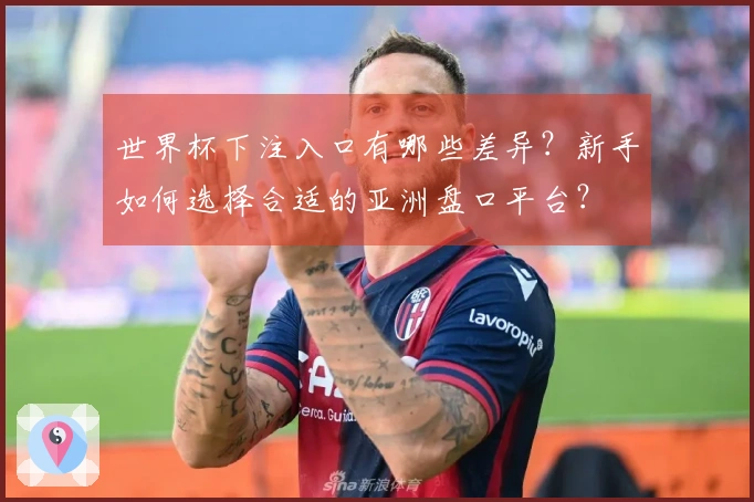 世界杯下注入口有哪些差异？新手如何选择合适的亚洲盘口平台？