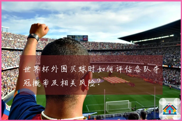 世界杯外围买球时如何评估各队夺冠概率及相关风险？