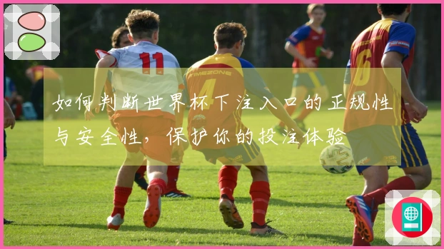 如何判断世界杯下注入口的正规性与安全性，保护你的投注体验